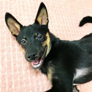 モデル並みの笑顔ww