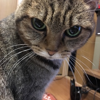 元気な子です！