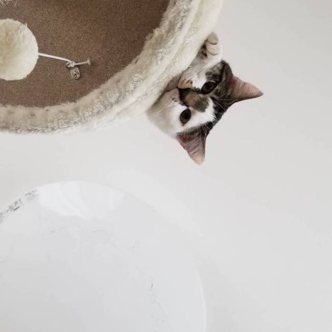 komaki3104のカバー写真