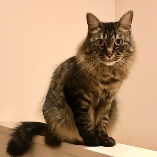 ひとりぼっちのメルちゃん。