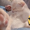  さん