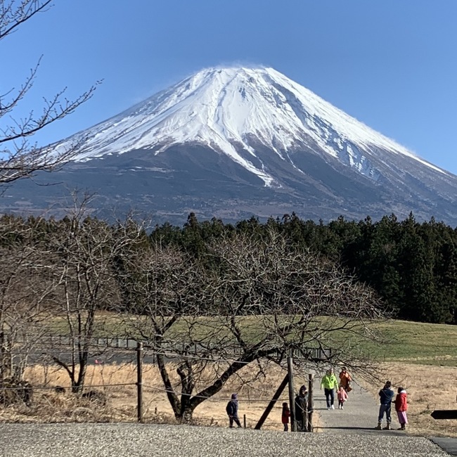 10PACKのカバー写真