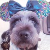 Bontaro16さん