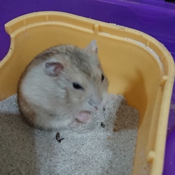 「暑すぎ？かな？」サムネイル2