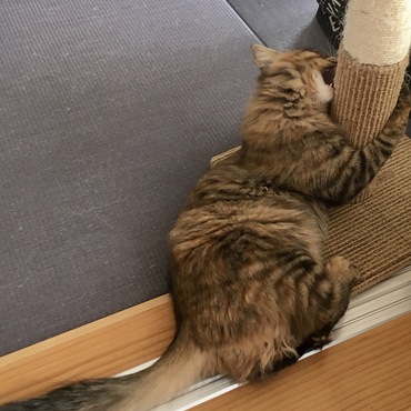 の写真