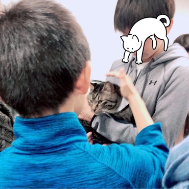 第２８回 ねこの譲渡会