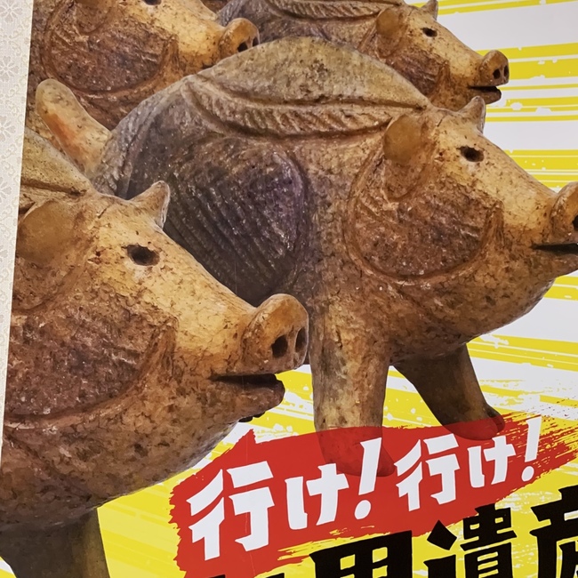 メジオのカバー写真