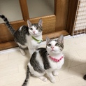 ２匹一緒のお家が見つかりました♪