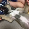 大騒ぎ！