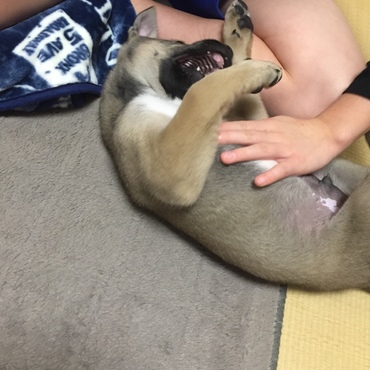 手をかみかみ、大好き^_^