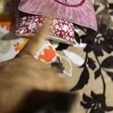ただいま！