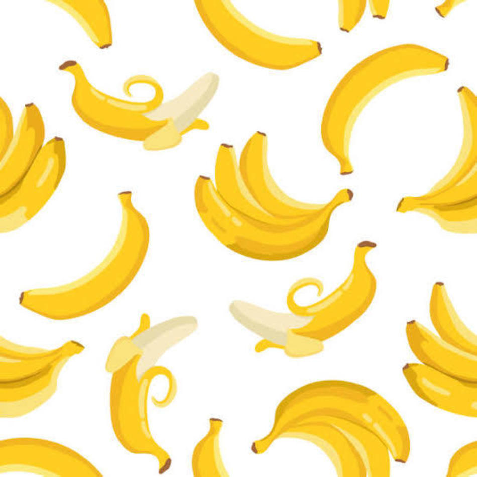 こあのカバー写真