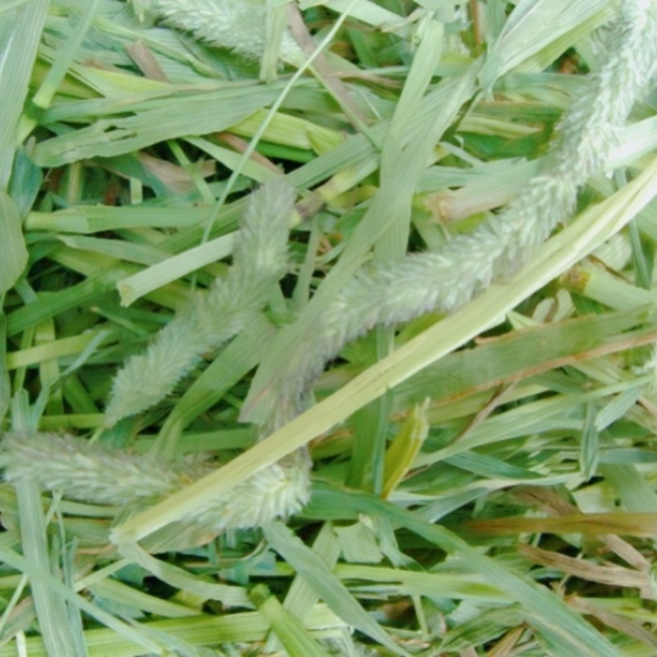 らてのカバー写真