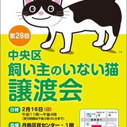 中央区飼い主のいない猫　譲渡会
