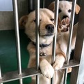 ありがとうございました。