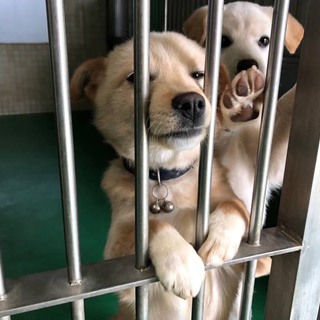 ありがとうございました。