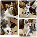 生きてるだけで丸儲けの幸運の良くん♡
