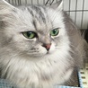 ティナ