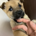 里親さま決まりました☆