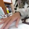 たろぽんず