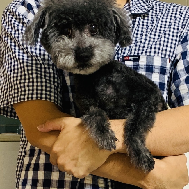 コーヒーミルクボーイのカバー写真