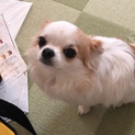 家庭の事情により
