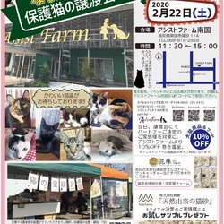 猫の譲渡会 アシストファーム南国inなまえのない猫