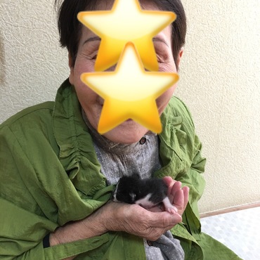 の写真