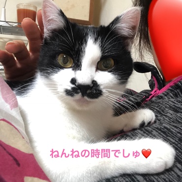 の写真