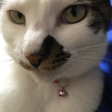 きょうこの写真