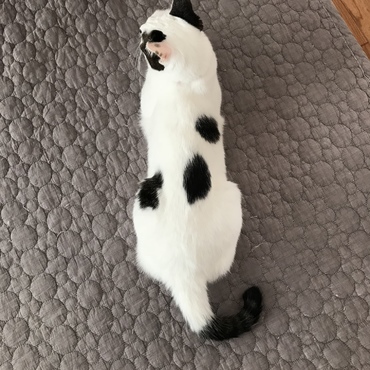 きょうこの写真