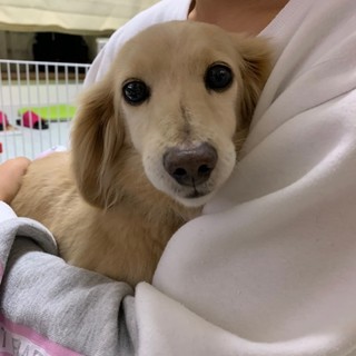 穏やかでお留守番上手☆ひまちゃん