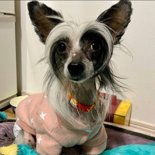 ゆき）実は甘えん坊のシャイガール