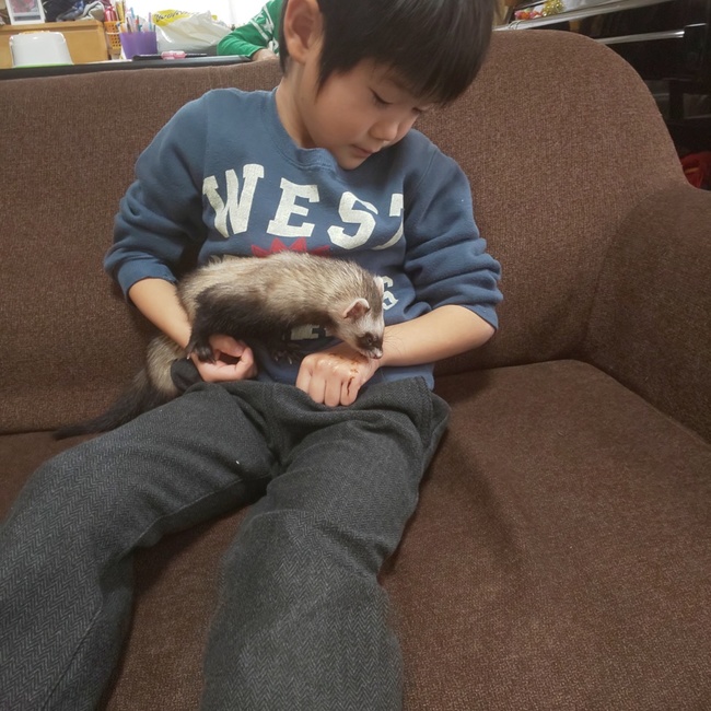 バーバピカリのカバー写真