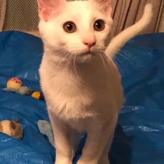 ずっとのおうちが決まりました