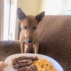 エマ、2歳になりました！