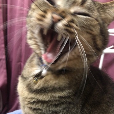 の写真