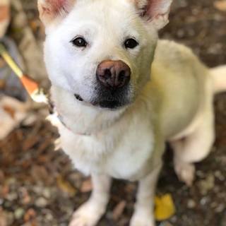 フレンドリメープル！