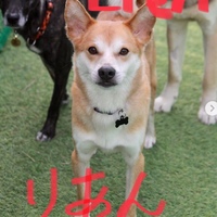 リアン