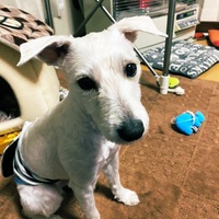 鉄