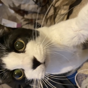 キリちゃんです