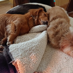 今年も幸せ満喫中♡