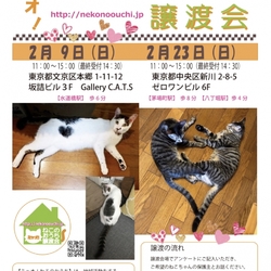 第75回★ミャオ!ねこのおうち譲渡会★八丁堀