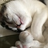 みゆみん