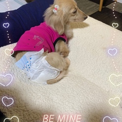 「セルフカット✂︎シャンプー」サムネイル2