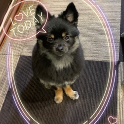 「セルフカット✂︎シャンプー」サムネイル3