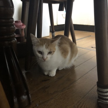 の写真