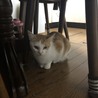 の写真