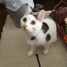 の写真