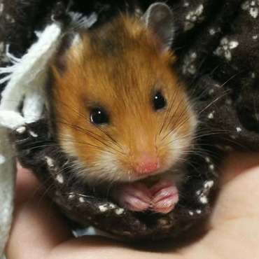 の写真
